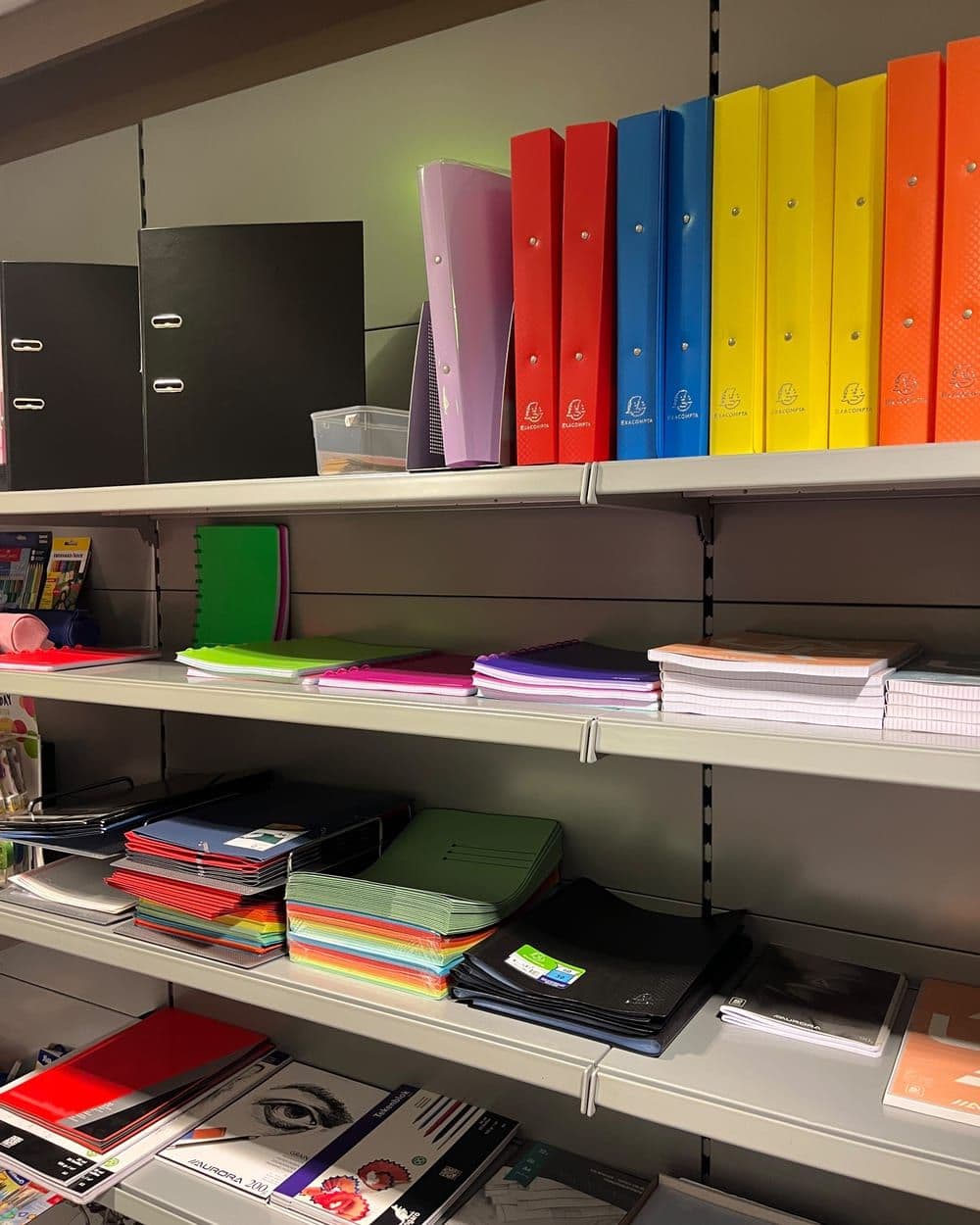 Ringmappen en schriften in alle kleuren op een schap